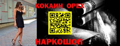 стафф Дубна