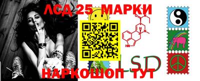 стафф Дубна