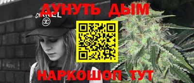 стафф Дубна
