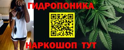 стафф Дубна