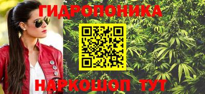 стафф Дубна