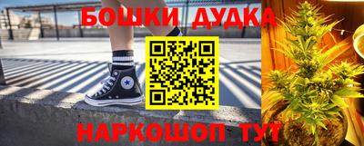 стафф Дубна