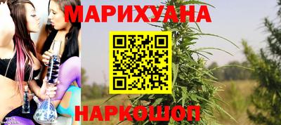 стафф Дубна