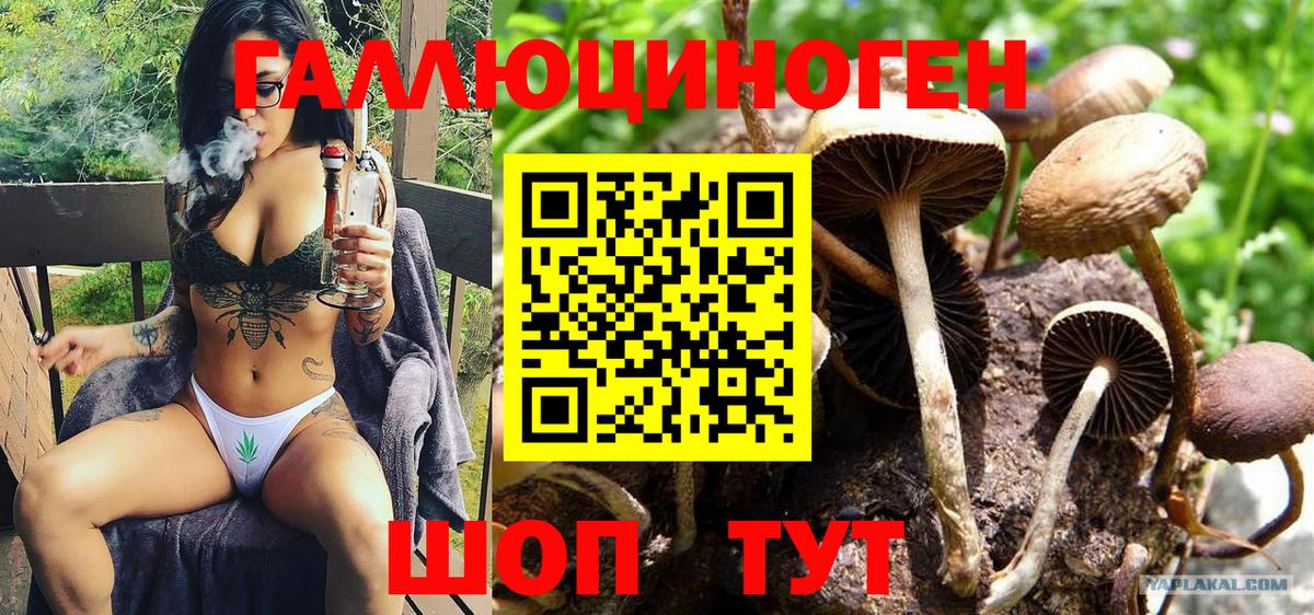 Псилоцибиновые грибы GOLDEN TEACHER Кореновск
