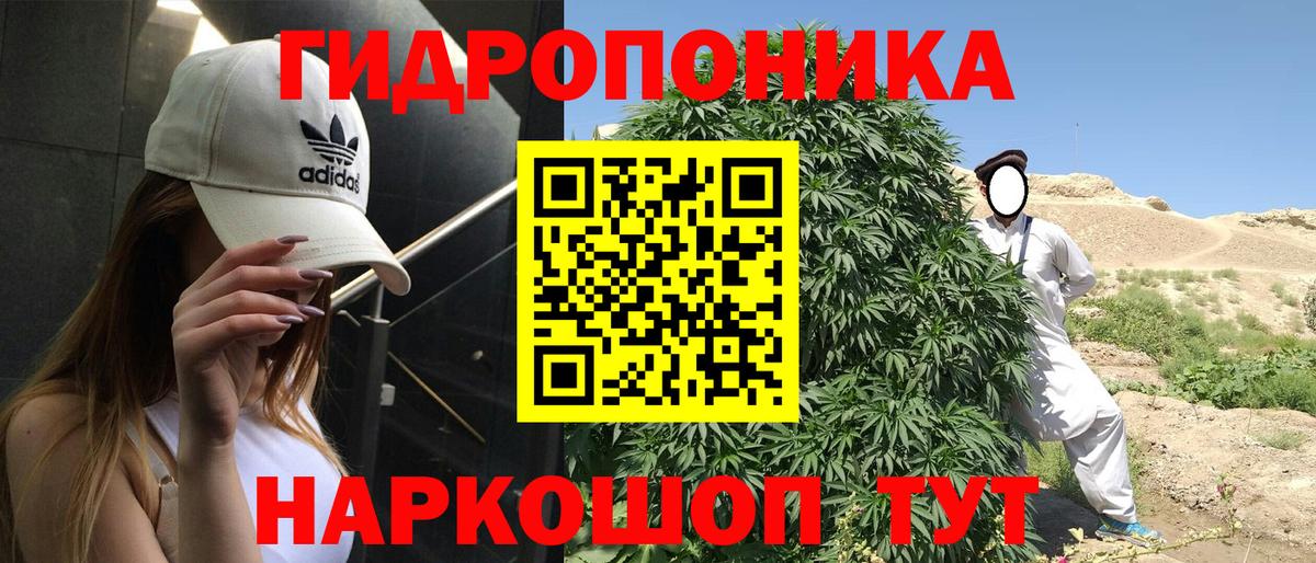 Бошки марихуана VHQ  Бошки Шишки ГИДРОПОН  Кореновск  Вход с VPN 